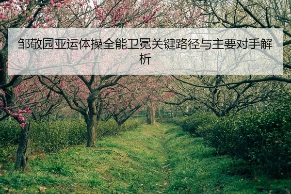 邹敬园亚运体操全能卫冕关键路径与主要对手解析