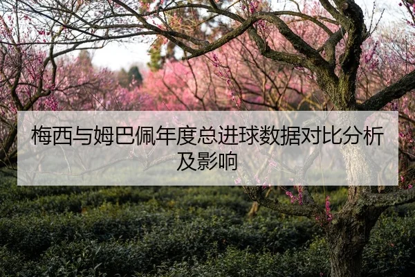 梅西与姆巴佩年度总进球数据对比分析及影响